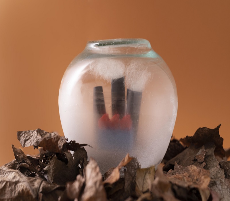 Noted Aromas: Exploring the Scent Behind the Sensation